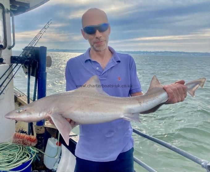 11 lb Smooth-hound (Common) by Unknown