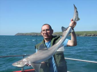 14 lb 5 oz Starry Smooth-hound by Unknown