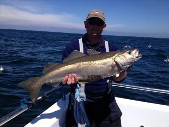 14 lb Pollock by Darren