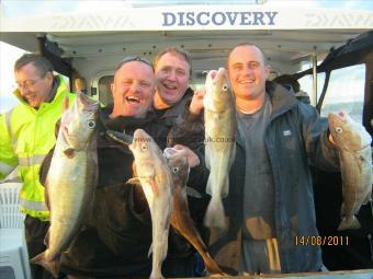 5 lb Cod by Unknown