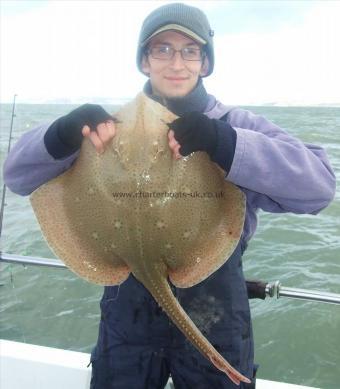 10 lb Blonde Ray by Peter Collings