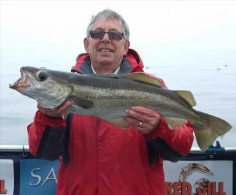 8 lb Pollock by Mike Ambler