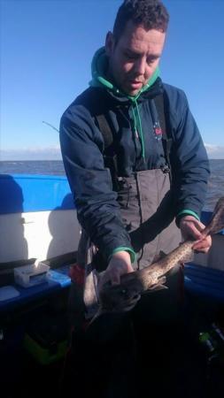 2 lb 8 oz Lesser Spotted Dogfish by Unknown