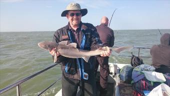 8 lb 12 oz Starry Smooth-hound by Bob Marshall