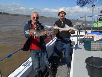 3 lb Cod by Jeff and Derek