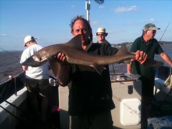 13 lb 14 oz Smooth-hound (Common) by Rob Page