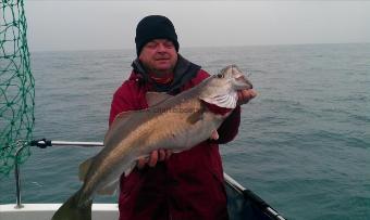 13 lb 10 oz Pollock by ian wilson