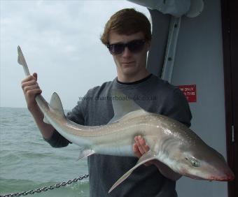 11 lb 3 oz Smooth-hound (Common) by max