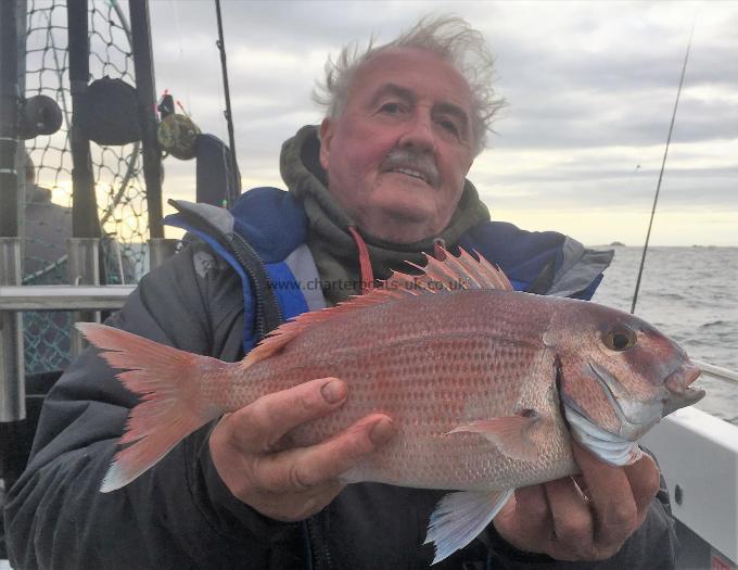 3 lb Couch's Sea Bream by Andy armitage