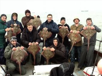 12 lb Thornback Ray by Onslows Boys