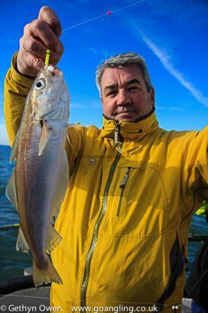 1 lb Whiting by Dave