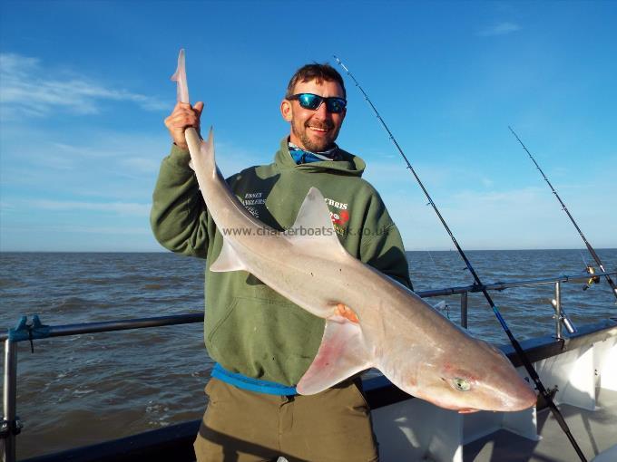 19 lb 6 oz Smooth-hound (Common) by Chris Singleton