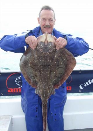 17 lb Undulate Ray by Jeff Deruelle