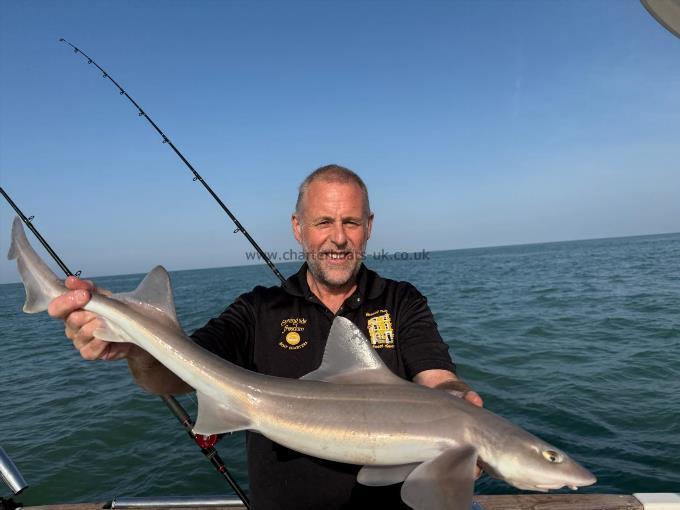 10 lb Smooth-hound by Unknown