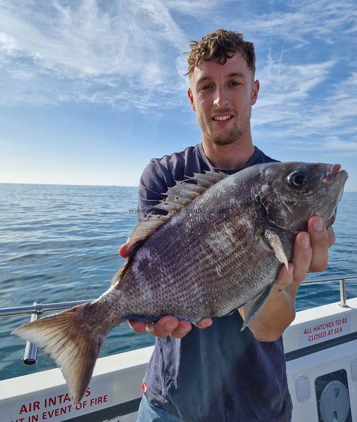 3 lb 4 oz Black Sea Bream by Kieran