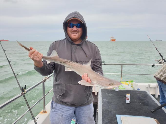 8 lb 12 oz Smooth-hound (Common) by Bob Marshall