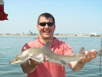 4 lb 5 oz Smooth-hound (Common) by Ritchie Hannant
