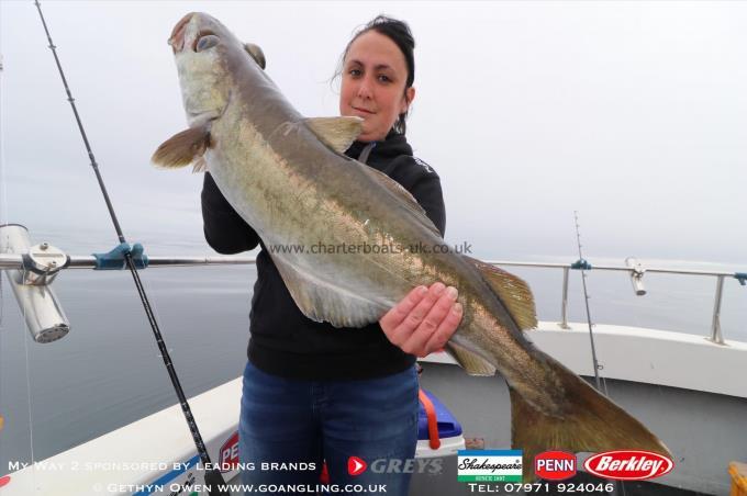 11 lb Pollock by Shelby