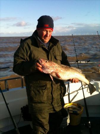 10 lb 8 oz Cod by Paul Perryman