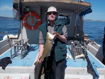 5 lb Cod by Robert Porter