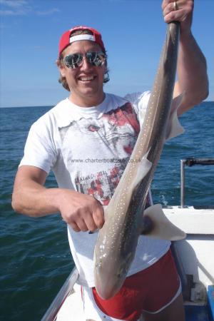 8 lb 7 oz Starry Smooth-hound by John the sun is out