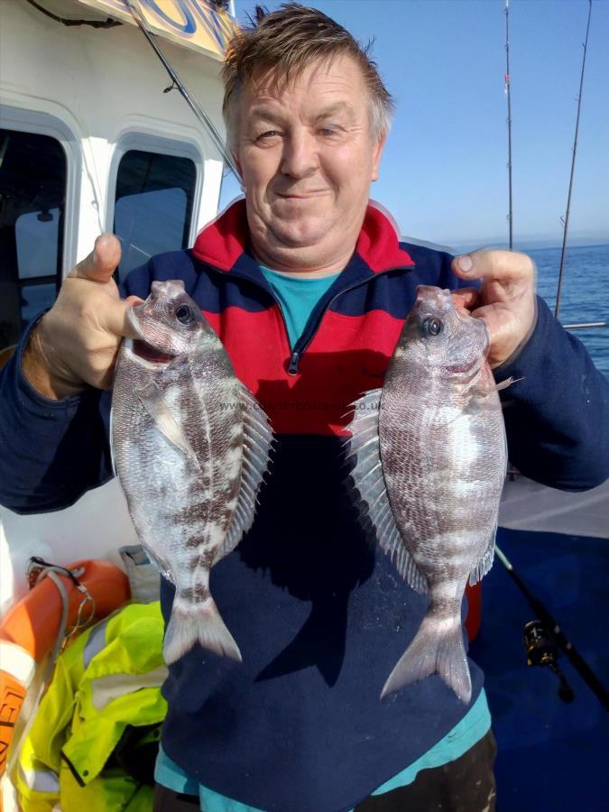 2 lb Black Sea Bream by Barry