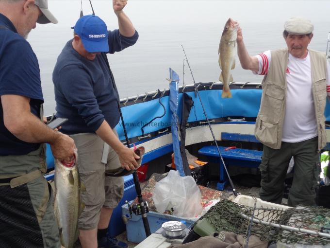 3 lb Cod by Unknown