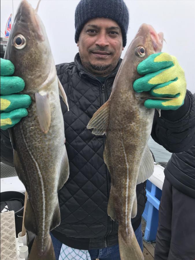 3 lb Cod by Mojbur with 2 cod