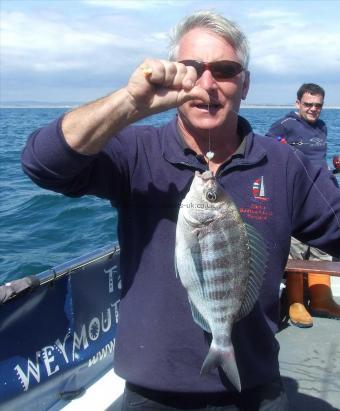 3 lb 8 oz Black Sea Bream by Ti,m Clark