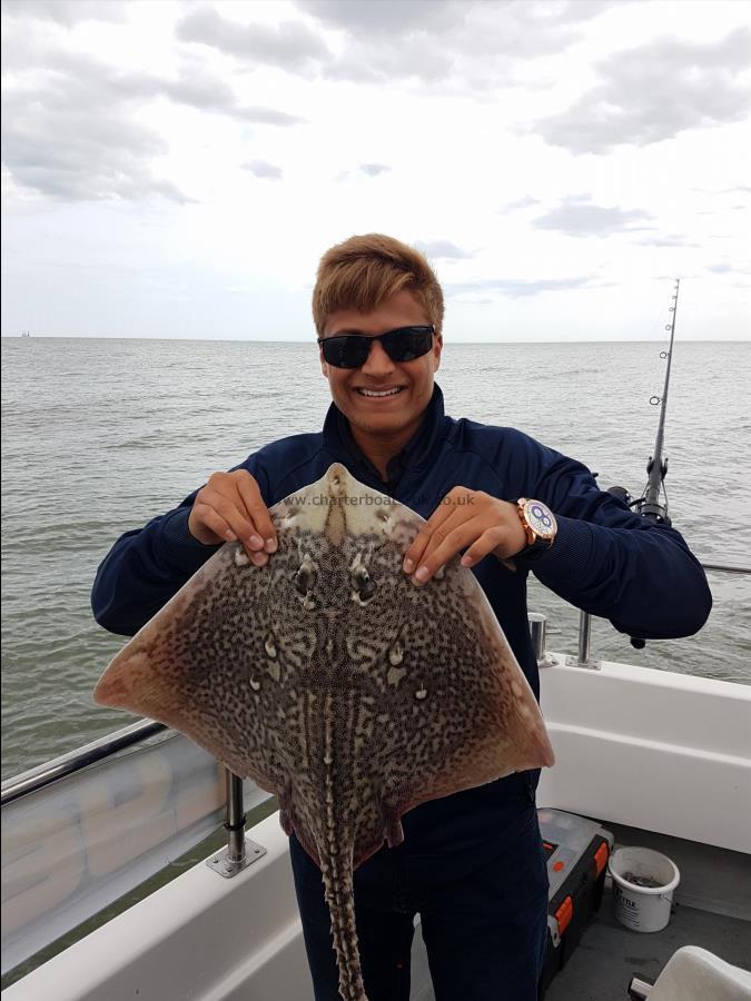 5 lb Thornback Ray by Ayush