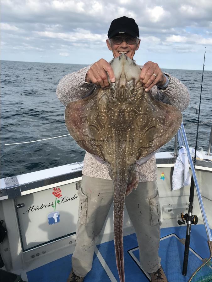 12 lb Undulate Ray by Ian