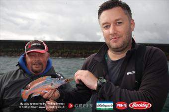 1 lb Cuckoo Wrasse by Dave