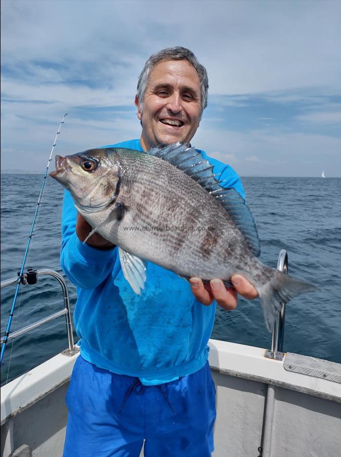 3 lb 2 oz Black Sea Bream by John