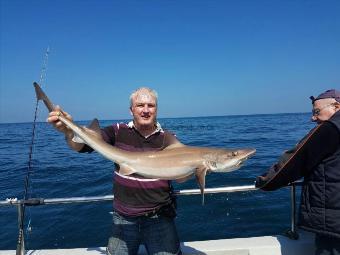 27 lb 1 oz Smooth-hound (Common) by Bob Pollard