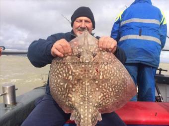 13 lb Thornback Ray by Martin from Kent