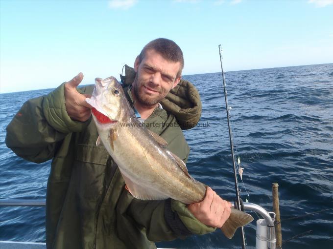 4 lb 13 oz Pollock by Unknown