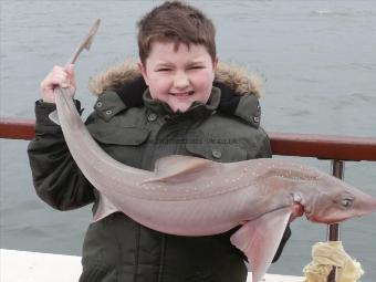 13 lb 2 oz Starry Smooth-hound by Tyler Ellis