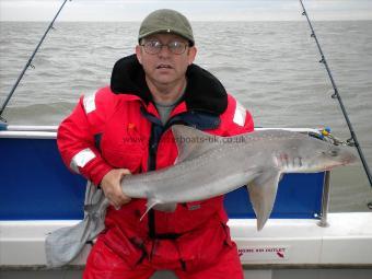 16 lb Smooth-hound (Common) by Chris Roots
