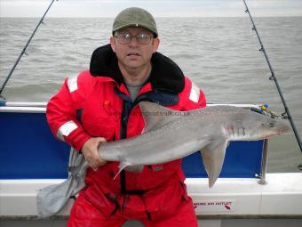 16 lb Smooth-hound by Chris Roots