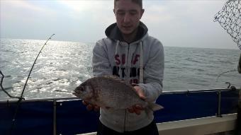 2 lb 8 oz Black Sea Bream by Stephen Wake