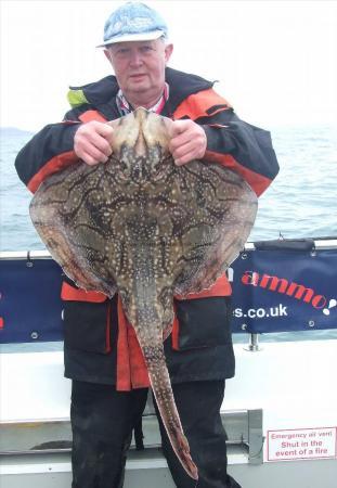 17 lb Undulate Ray by Tony Mills