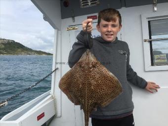 4 lb Spotted Ray by Unknown