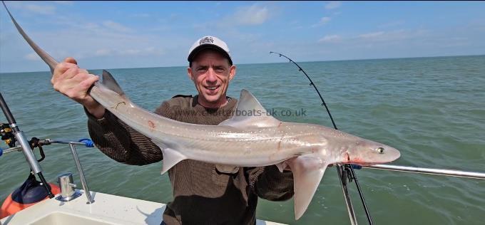 11 lb Smooth-hound by Jay