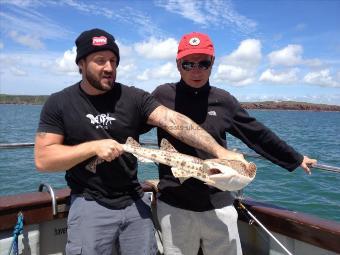 7 lb 8 oz Bull Huss by Matt holding for Jessie