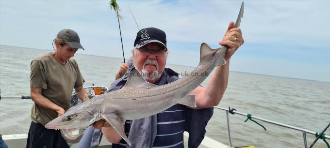 9 lb Starry Smooth-hound by Bernard