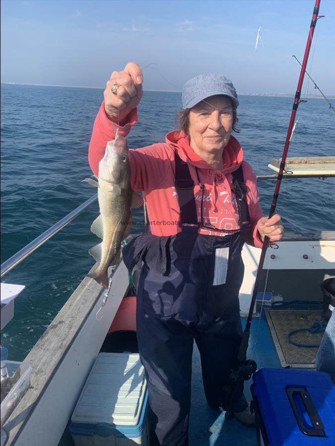 1 lb Cod by Unknown