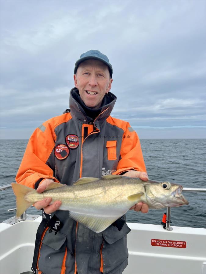 3 lb 8 oz Pollock by Geoff Hoggard