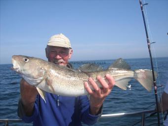 4 lb 8 oz Cod by Dave