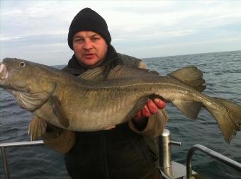 17 lb Cod by Paul Kilpatrick