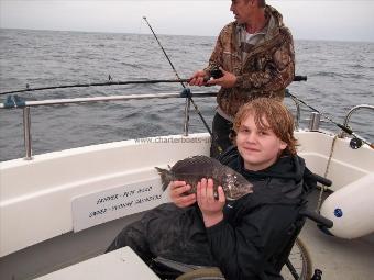 3 lb 2 oz Black Sea Bream by Unknown